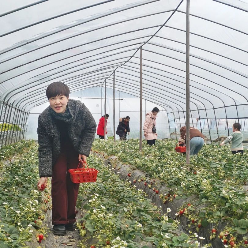 1741567691428680.jpg 1741567691428680.jpg